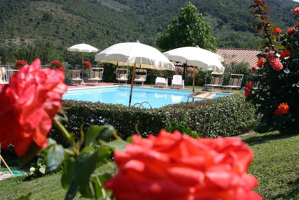 Agriturismo Cortoreggio Кортона Екстер'єр фото