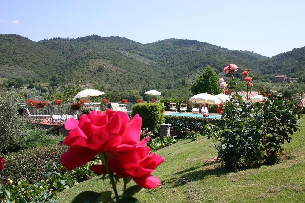 Agriturismo Cortoreggio Кортона Екстер'єр фото