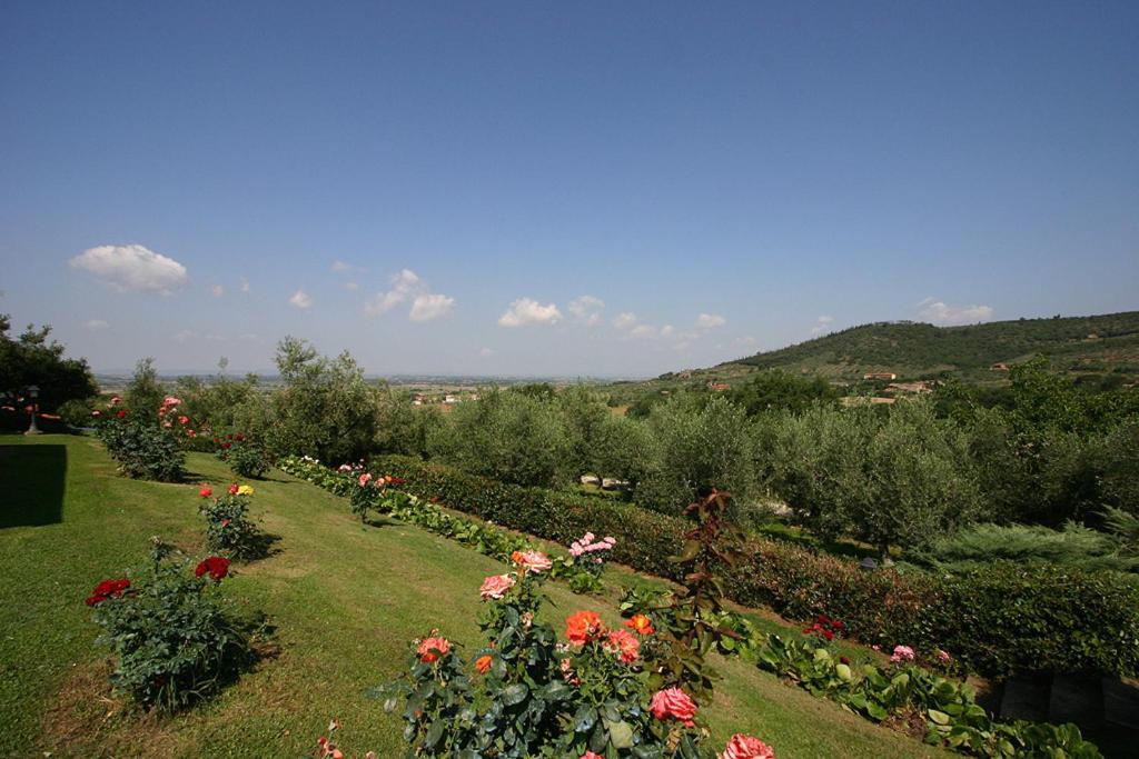 Agriturismo Cortoreggio Кортона Екстер'єр фото