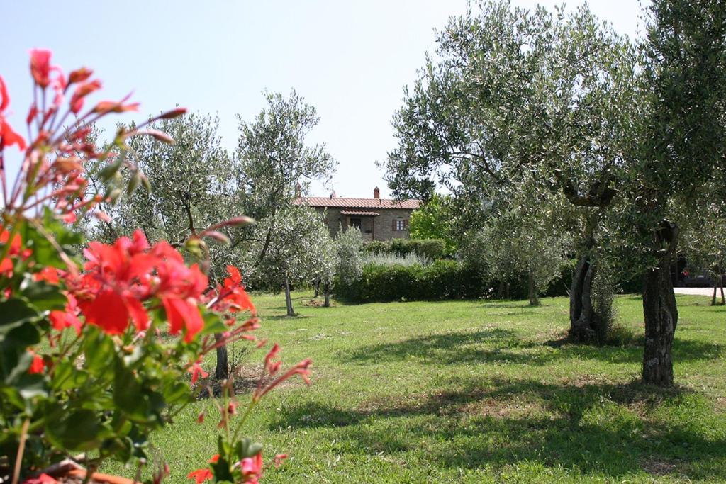 Agriturismo Cortoreggio Кортона Екстер'єр фото