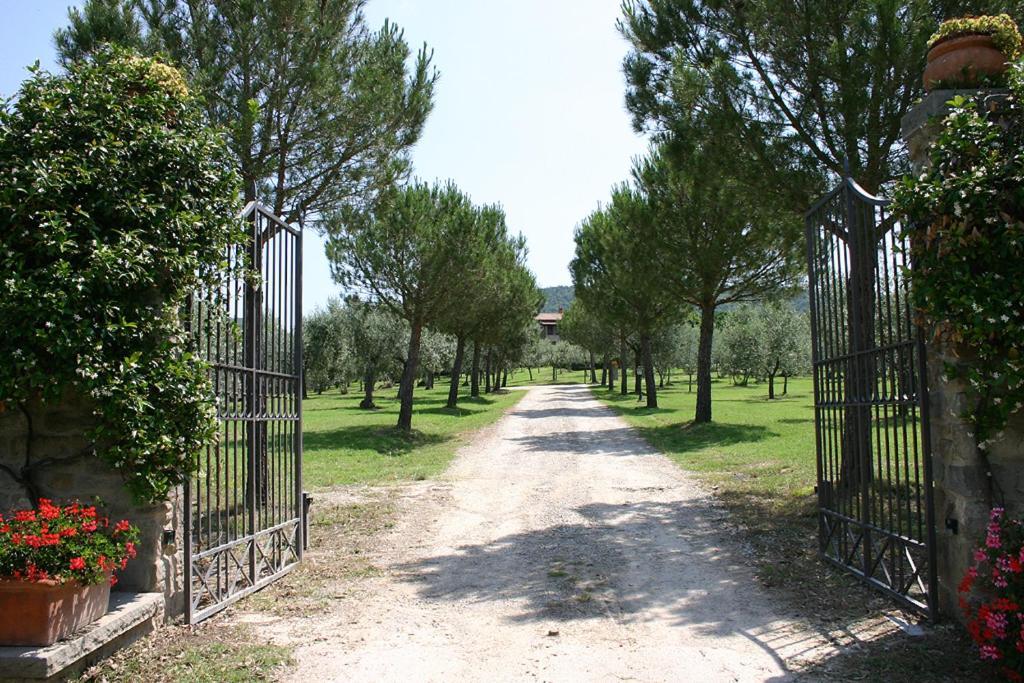Agriturismo Cortoreggio Кортона Екстер'єр фото